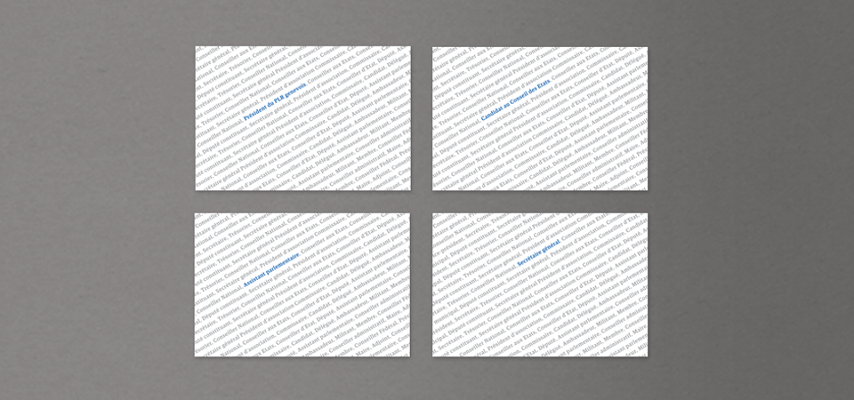 Corporate Identity d'un parti politique 10 Visuel du verso des cartes de visites