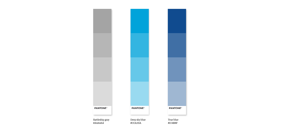 Corporate Identity d'un parti politique 6 Palette de couleurs de la papeterie