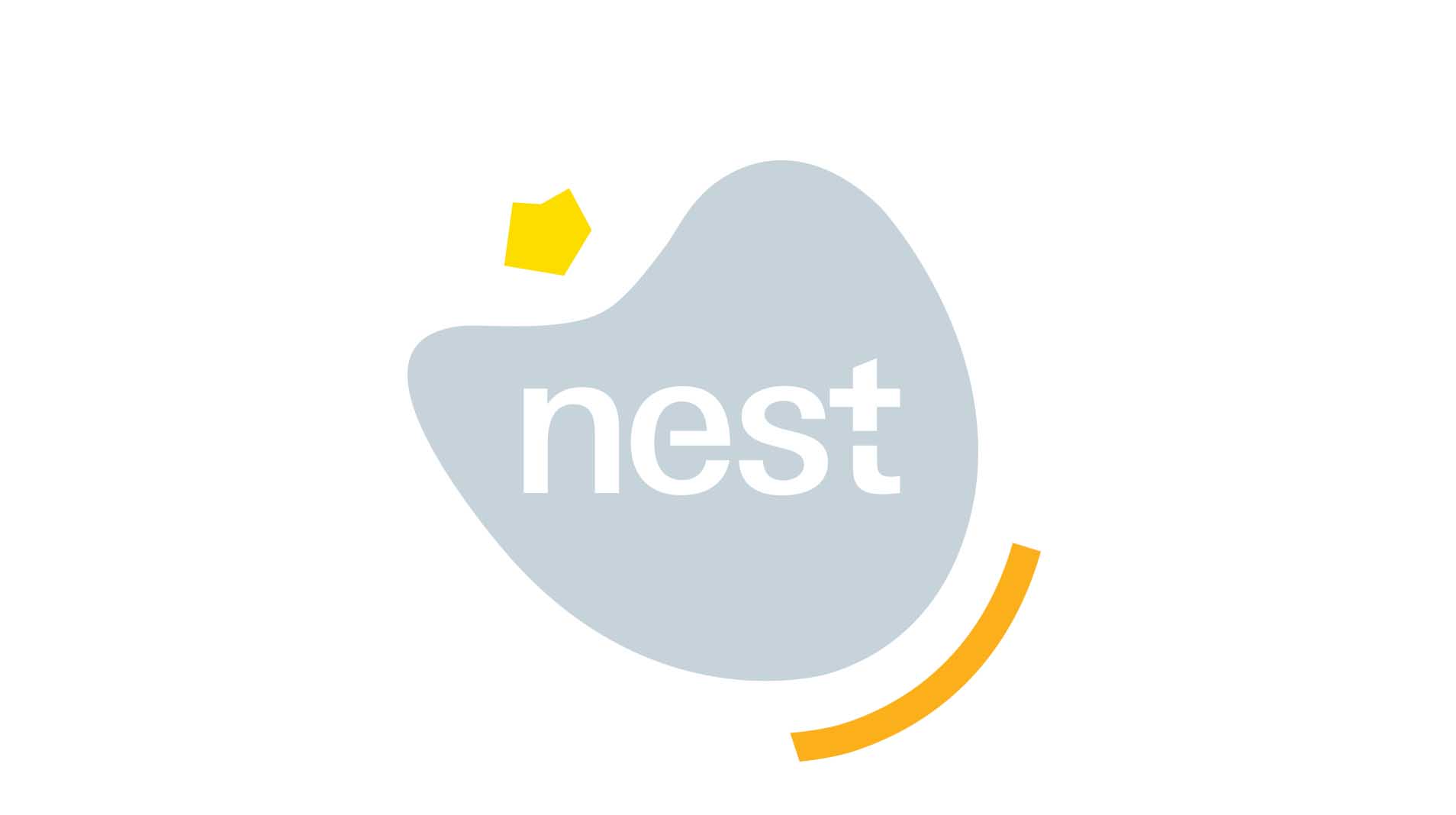 Exemple de travail de recherche d'une identité systémique 11 Logo nest