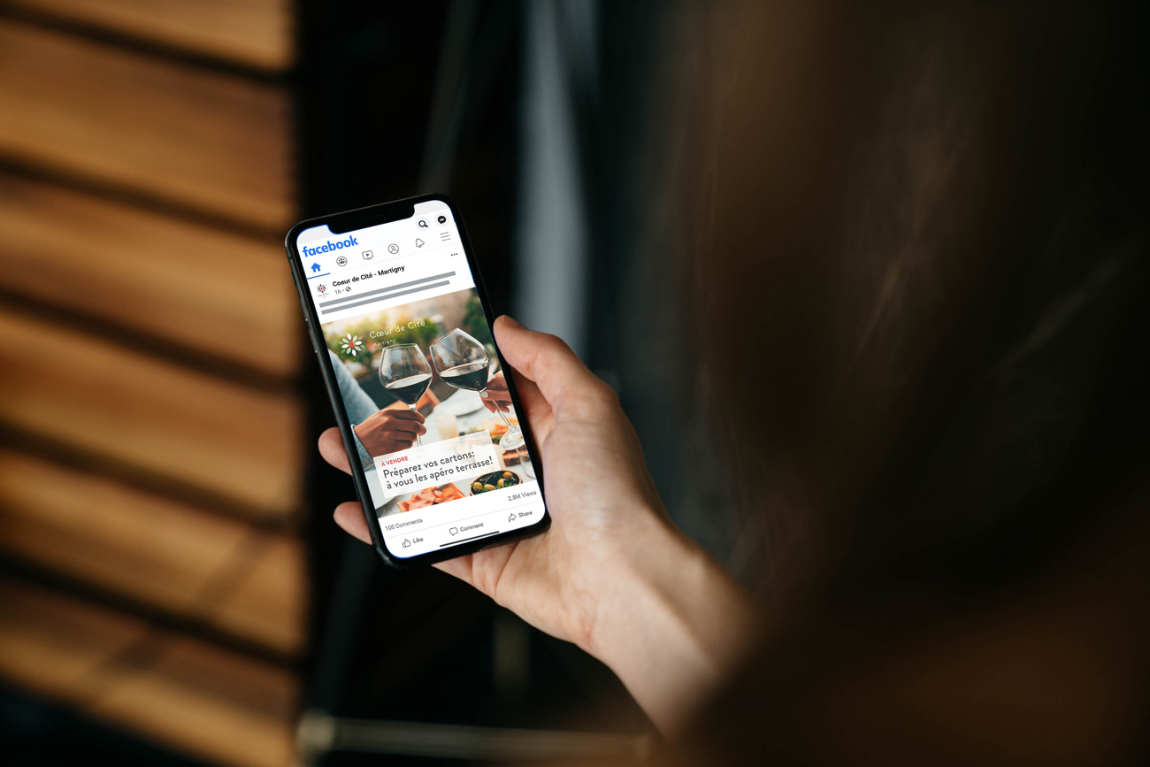 Campagne numérique pour vendre des appartements d’investissement 6 Halter enigma Facebook ad